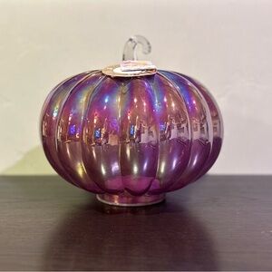 MADE IN INDIA 9.5" Copper Led Iridescent Finish Glass Pumpkin Battery Operated